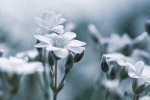 デリケートゾーンの黒ずみ対策にはどんな方法がある？