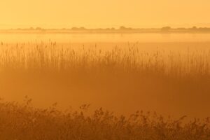 骨盤矯正ベルトの効果と正しい使い方は？