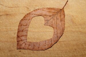ちょい漏れ対策を女性が実践するための効果的な方法は？