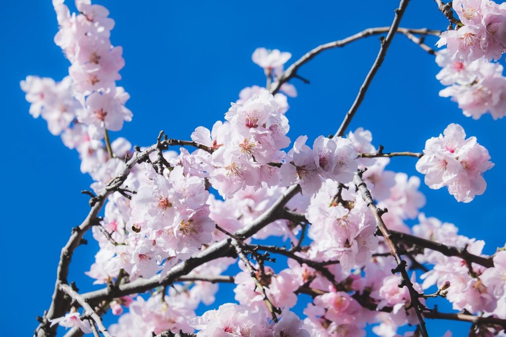 尿漏れの匂い対策にはどんな方法があるの？
