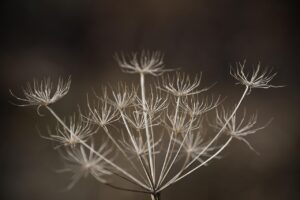 更年期の膣乾燥対策にはどのような方法がある？