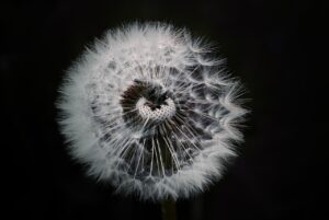 ちつトレの効果は期間どのくらいで実感できるの？