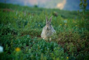 吸水ショーツの臭いを解消する方法は？