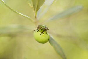 吸水ショーツの臭いを防ぐための対策は？