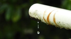 更年期の尿漏れに効果的なサプリはどれですか？