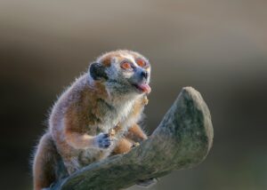 膣トレの効果が実感できる期間はどのくらい？