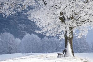 尿もれに悩む女性が40代で冬に悪化する理由とは？