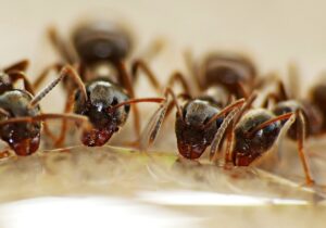 吸水ショーツの洗濯が楽になるおすすめの方法は？